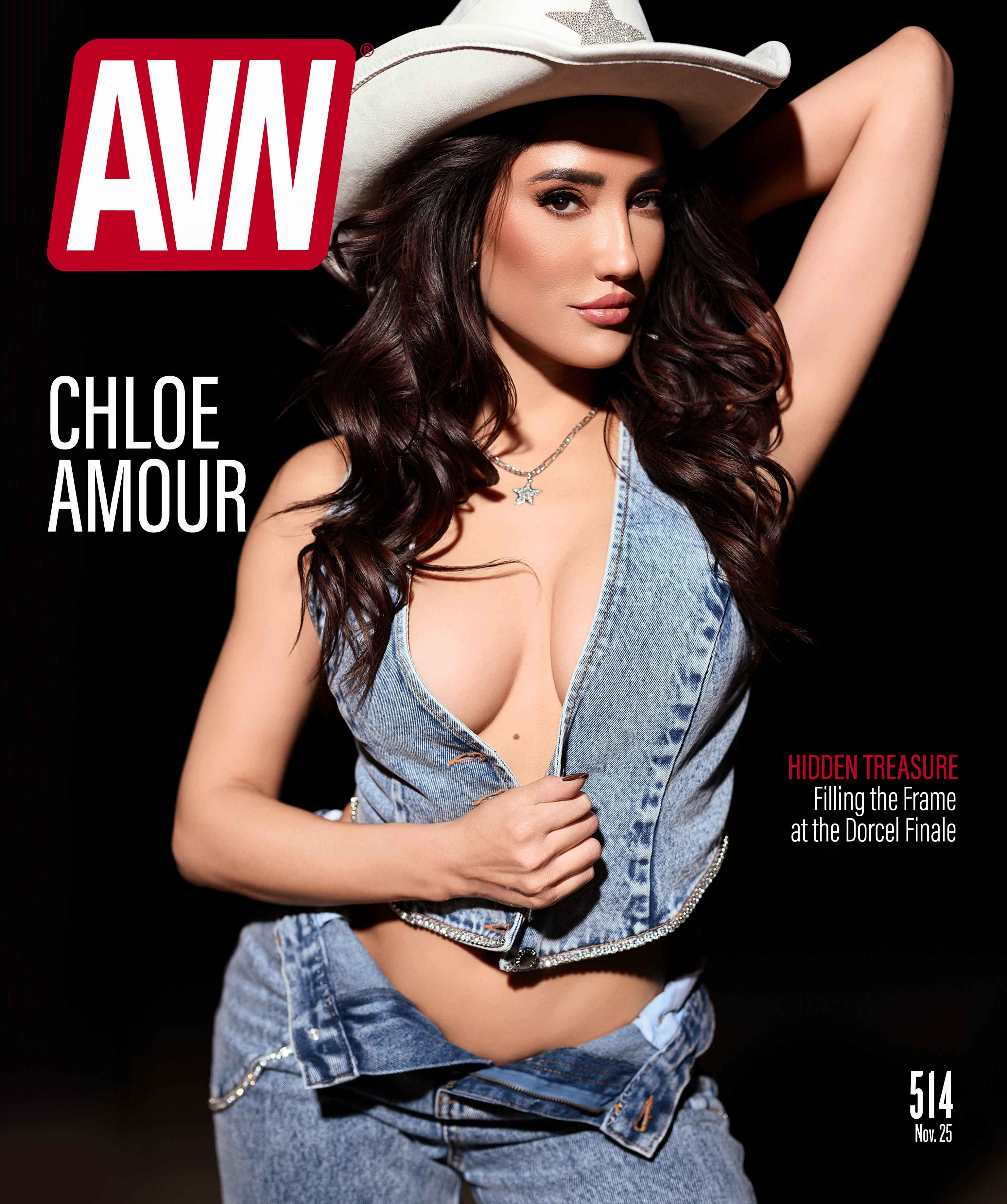 AVN Magazine
